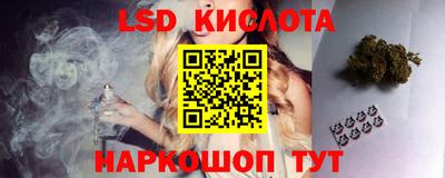 Альфа ПВП Новодвинск
