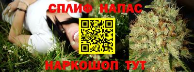 марки nbome Новозыбков