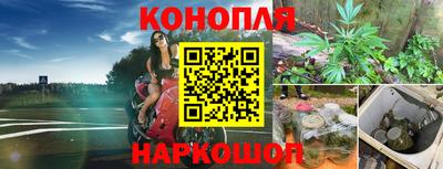 Альфа ПВП Новодвинск