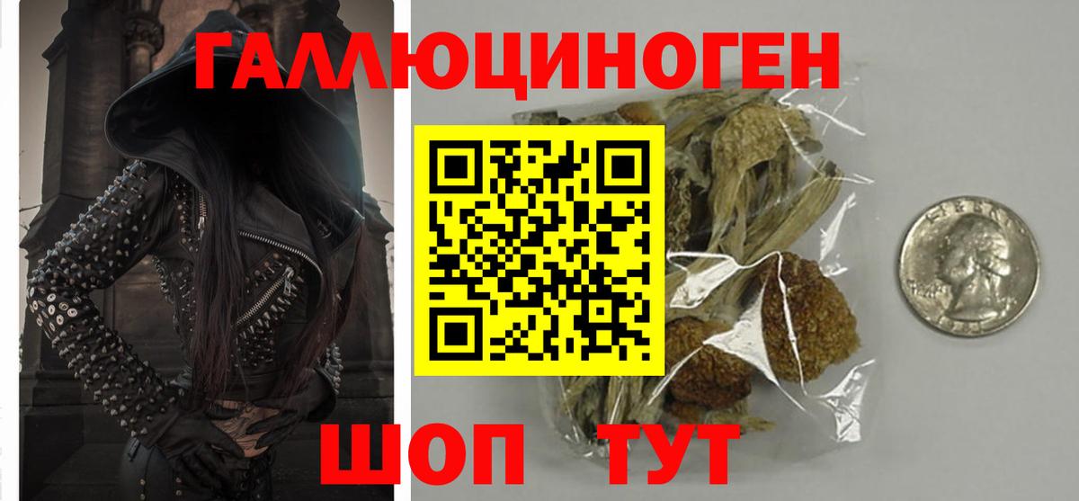 Татарск  Галлюциногенные грибы Psilocybe  Вход с VPN 